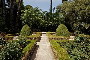 dscn 113.jpg