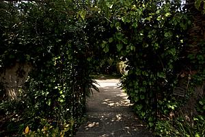 dscn 121.jpg