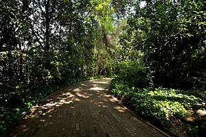 dscn 124.jpg