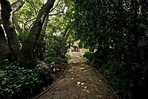 dscn 126.jpg
