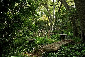 dscn 128.jpg