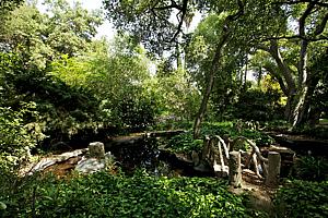 dscn 130.jpg