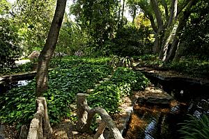 dscn 134.jpg