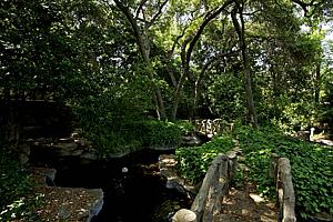 dscn 136.jpg