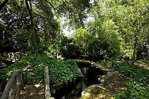 dscn 138.jpg