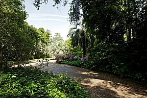 dscn 144.jpg