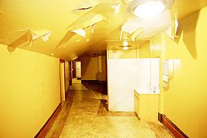 5fdscn_316.jpg