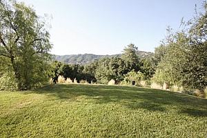6adscn 08.jpg