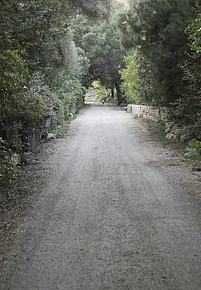 6adscn 11.jpg