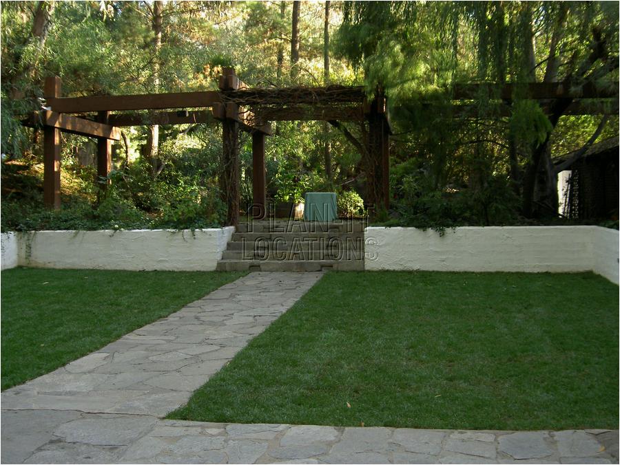 5mDSCN011.JPG
