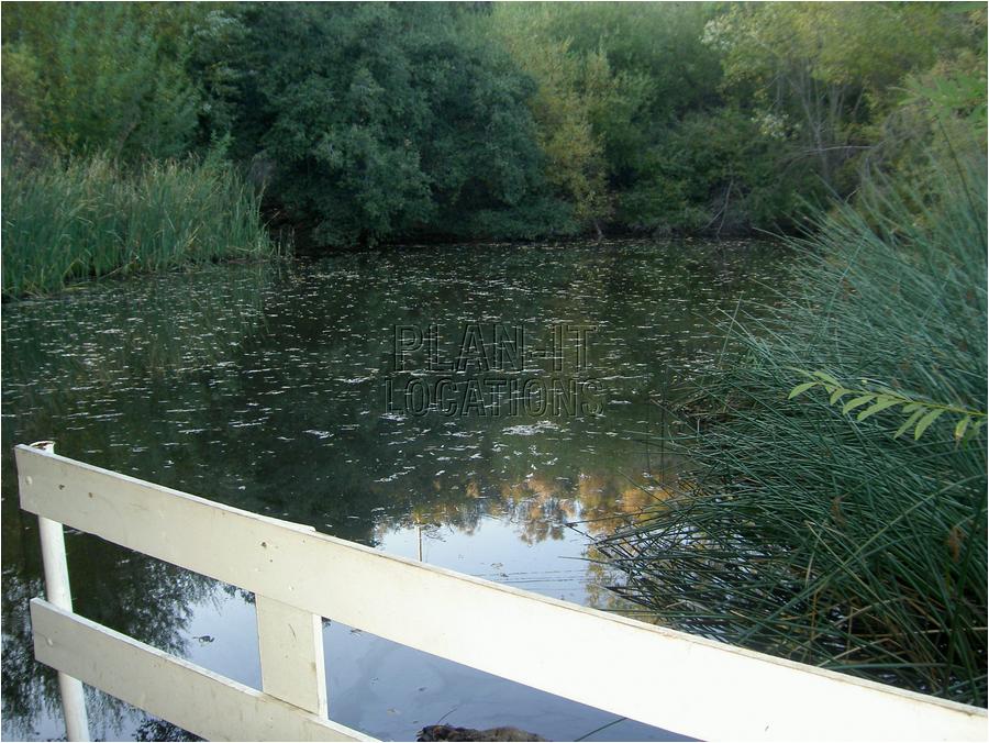 6dDSCN004.JPG