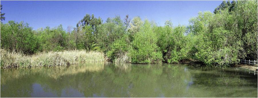 6dDSCN007.jpg
