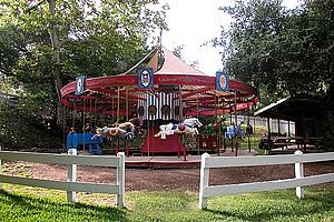 5hDSCN002.jpg