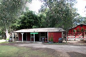5hDSCN003.jpg