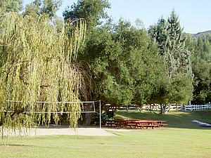 5mDSCN004.JPG