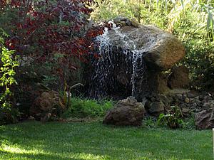 5mDSCN009.JPG