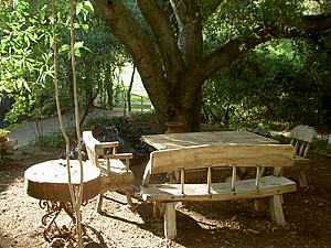 5mDSCN010.JPG