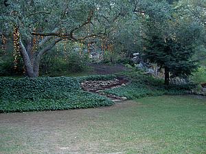 5mDSCN012.JPG