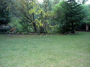5mDSCN013.JPG