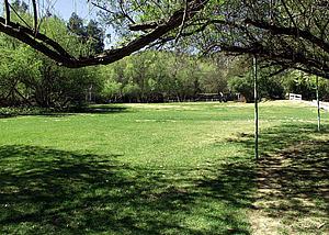 5mDSCN015.jpg