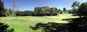 5mDSCN016.jpg