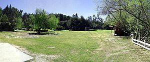 5mDSCN020.jpg