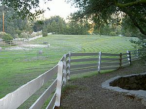 5mDSCN021.JPG