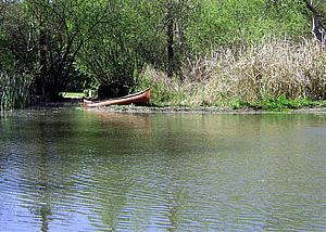 6dDSCN005.jpg