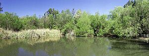 6dDSCN007.jpg