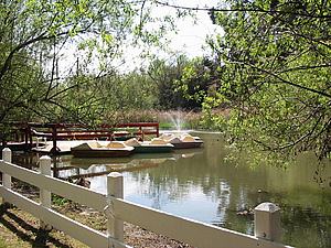 6dDSCN008.jpg