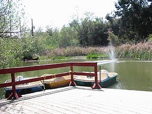 6dDSCN009.jpg