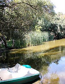 6dDSCN010.jpg