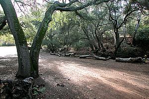 7adscn 07L.jpg