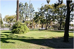 2aIMG_1831.JPG