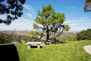 8dH5165_120.jpg