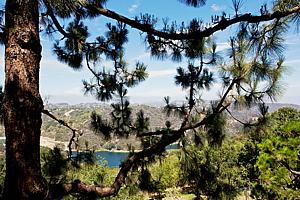 9aH5165_90.jpg