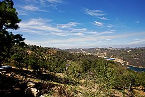9aH5165_91.jpg