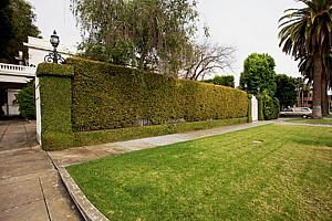 1b49m_184.jpg