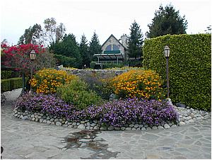 3aDSCN9471.JPG