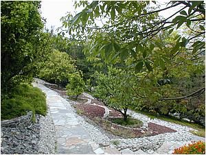3aDSCN9472.JPG