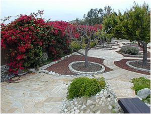 3aDSCN9474.JPG