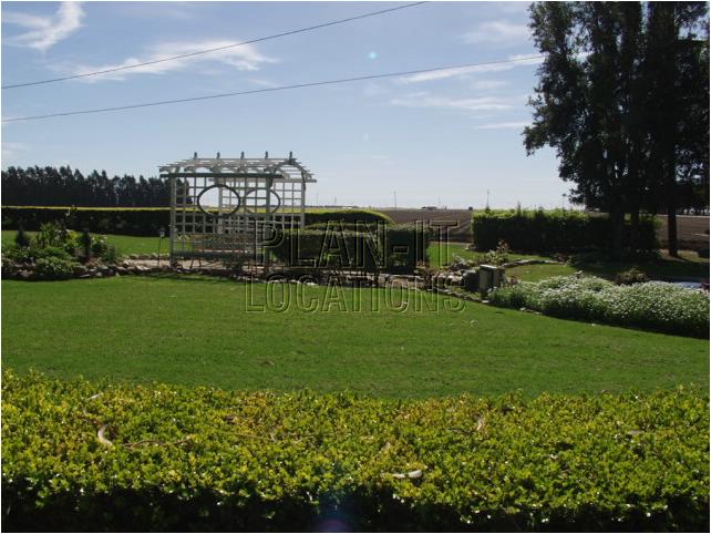 1b8362_1017260.JPG