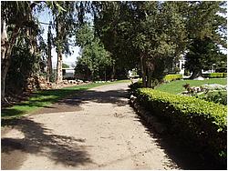 1a8362_1017267.JPG