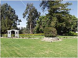 1b8362_1017258.JPG