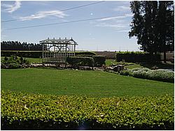 1b8362_1017260.JPG