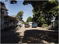 1c8362_1017249.JPG