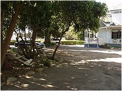 1c8362_1017250.JPG