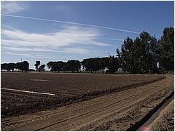 6a8362_1017255.JPG