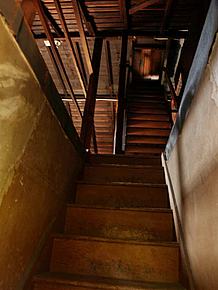 5aP5215856.JPG