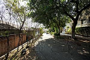 6d18victorian_101.jpg
